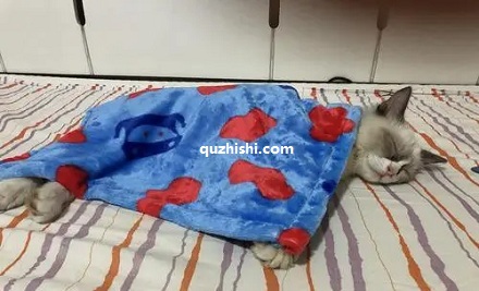 人睡过一晚的床会留下多少东西?