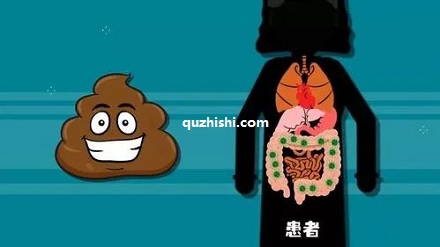 人类的便便可以用来治病?