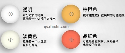 如何从尿液判断健康情况?