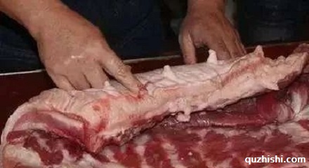 母猪肉可以吃吗?
