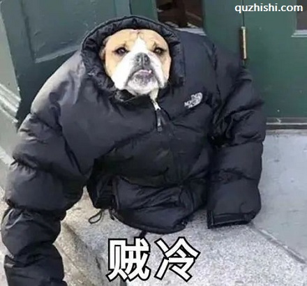 为什么人寒冷时会颤栗?