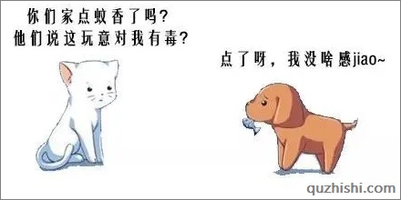 蚊香会让猫咪变痴呆?