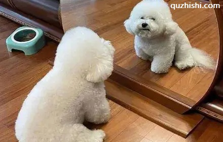 照镜子吃饭,饭会变得更香?