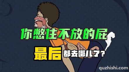 憋住不放的屁最后都去哪儿了?